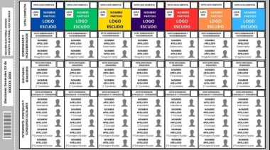¿Hay chances de aplicar la Boleta Única Papel en la Provincia?