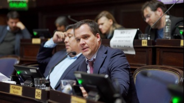 Efecto Senado: El PRO presiona para suspender las PASO en la provincia