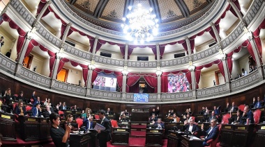 Sesión express: ¿Con qué leyes avanzó el Senado?
