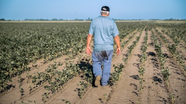 Nación declaró la emergencia agropecuaria en 5 distritos bonaerenses