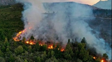 En medio de los incendios, renunció la Subsecretaria de Ambiente