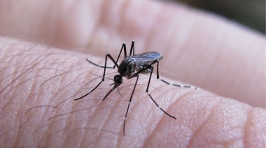 Alertan por el primer caso de dengue en la Provincia