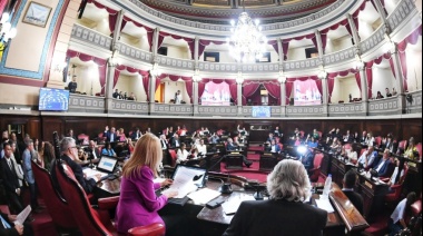 El Senado le dio luz verde a la prórroga de Patagones como área patagónica