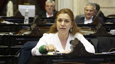 La Ley Ómnibus puso en crisis al bloque radical
