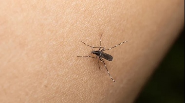 Pegan el volantazo: Nación aceptó comprar la vacuna contra el dengue