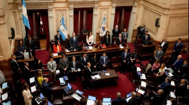Ley Bases: ¿Qué giros puede dar si el Senado hace modificaciones?