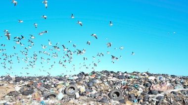 La recolección de basura pone en jaque a Rojas