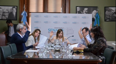 Avanza en el Senado un proyecto a favor de la protección de los consumidores