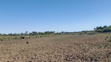 Carbap pide acelerar los subsidios por la sequía