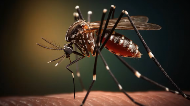 El mapa del dengue: ¿Cuántos distritos hay afectados?