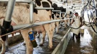 Desde Juntos piden que el Gobierno no intervenga en el mercado lechero