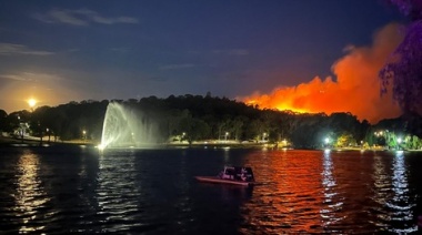La Provincia contuvo el incendio en Tandil: ¿Cómo sigue?