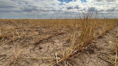 Emergencia agropecuaria: Nuevos distritos se suman a la ayuda de la Provincia