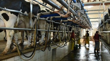 Impulso Tambero: Más de 4 mil productores ya recibieron el primer pago