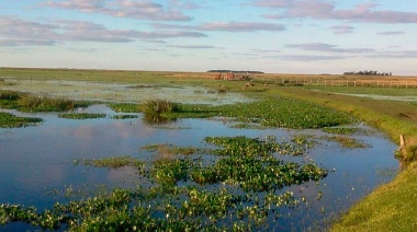 Provincia aprobó el Programa de Humedales
