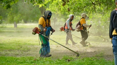 Alerta dengue: La Municipalidad avanza con el plan de fumigación