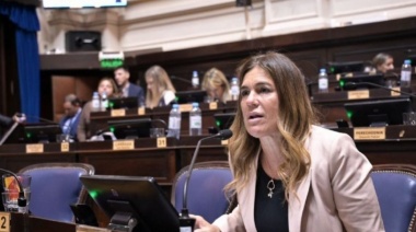 Retamoso pide informes sobre el Plan anti dengue de Kreplak