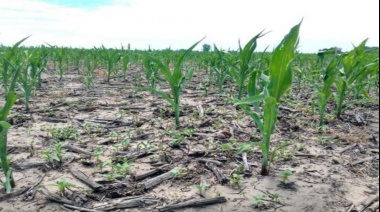Provincia entrega beneficios inmobiliarios a afectados por desastres climáticos
