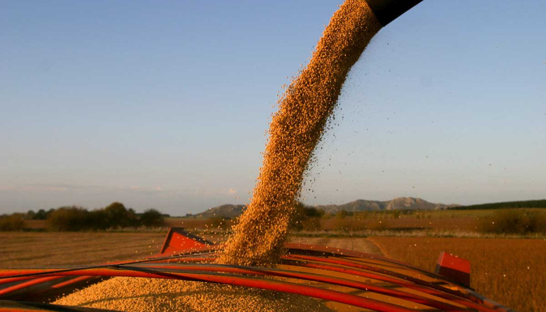El Gobierno estableció retenciones cero a los granos para generar mayor oferta de dólares