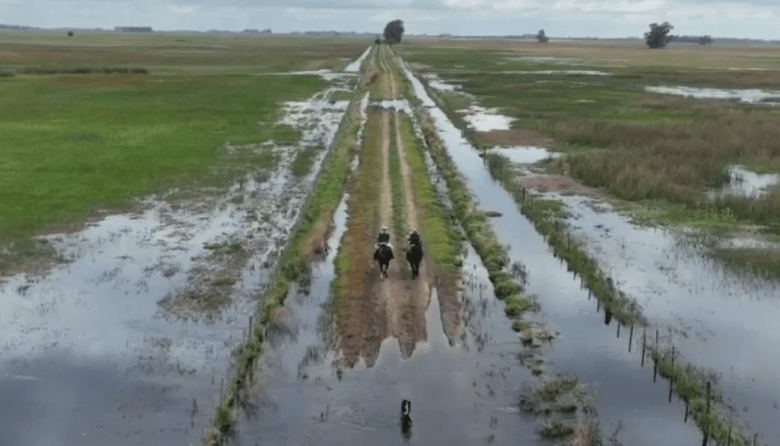 “Dejen de sembrar desigualdad”: El campo bonaerense le exige respuestas a Nación y a Provincia