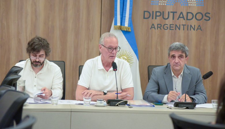 Crisis sanitaria: Gollán denuncia que el Congreso “propicia” un delito antivacunas