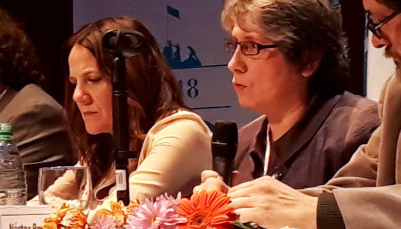 Flavia Terigi solicitó a los senadores rechazar el recorte al financiamiento educativo y científico