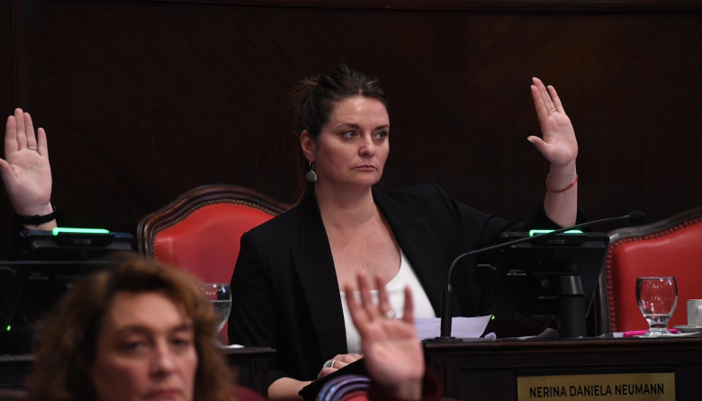 Nerina Neumann impulsa la Boleta Única y un calendario electoral propio