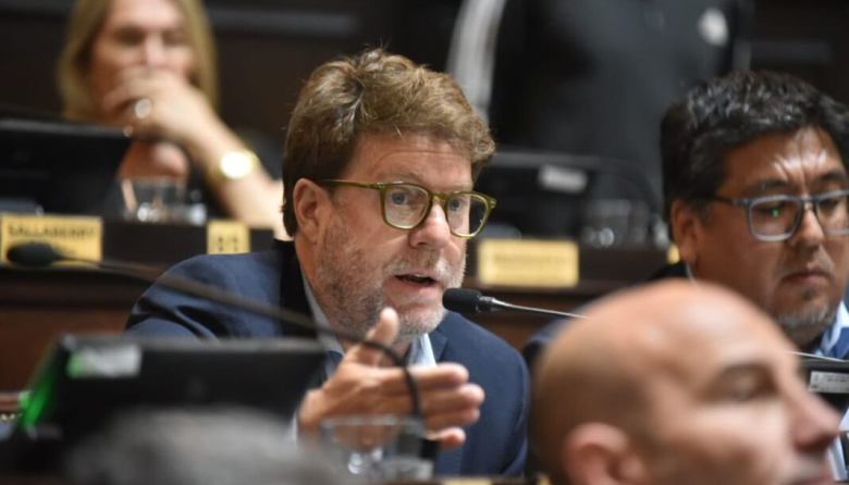 Un paso hacia la inclusión en Diputados: buscan un abordaje integral del Síndrome de Down