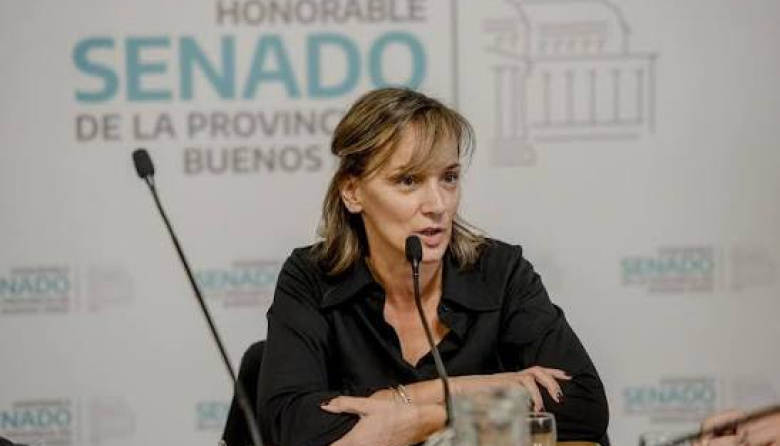 Senado bonaerense: con el foco en frenar a los intendentes, el massismo definine las reglas electorales