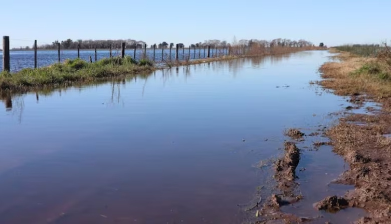 La Provincia declaró la Emergencia Agropecuaria por inundaciones en 9 de Julio y Necochea