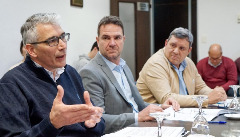 Por impulso del massismo, avanza la habilitación del uso de pistolas Taser