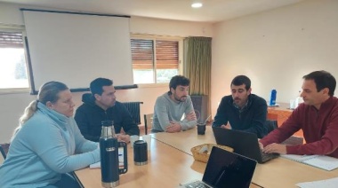 Puan avanza en el programa de implantación de pasturas