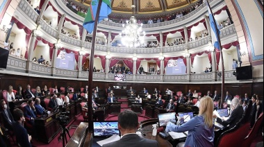 El Senado vuelve a sesionar: Regresa Feletti