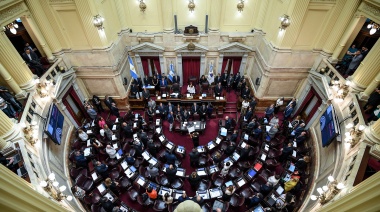 El Senado repudió al ataque contra CFK