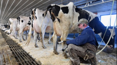 ¿Dólar leche?: Los tamberos también piden cambio
