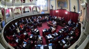 Crean una Bicameral para mejorar la legislación sobre preventivas y excarcelaciones