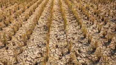 Juntos pide que la Provincia informe sobre la sequía