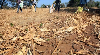 Efecto sequía: La Provincia convocó a la Comisión de Emergencia Agropecuaria