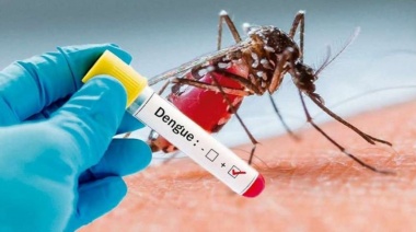 Crece el número de casos de dengue en la provincia