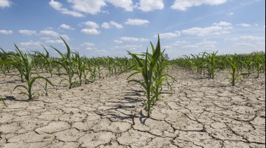 Kicillof prorrogó la emergencia agropecuaria en cuatro distritos