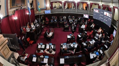 Legislatura bonaerense: ¿Qué se juega en el Senado?