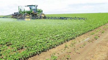 Buena racha: La actividad del agro bonaerense creció por 4° mes consecutivo