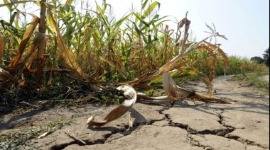 Buscan que la emergencia nacional incluya a distritos bonaerenses afectados por la sequía