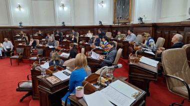 La protección del adoquinado en La Plata logró consenso en el Concejo