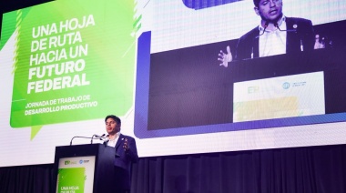 Kicillof: “Nunca destruir la industria nacional puede ser una solución”