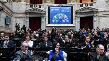 La oposición le da un golpe a Milei y ratifica la Ley de Emergencia en Discapacidad