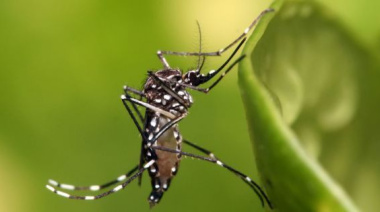 La Provincia abre la inscripción para la vacuna contra el dengue