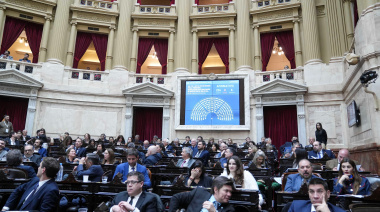 Diputados y una sesión caliente para rechazar los vetos a la ley de financiamiento universitario y emergencia pediátrica
