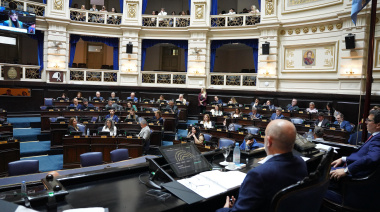 La Cámara de Diputados bonaerense aprobó dos proyectos clave para la salud y la niñez