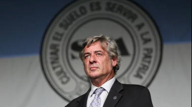 Pino manifestó desconfianza por la finalización temprana del cupo de US$7.000 millones